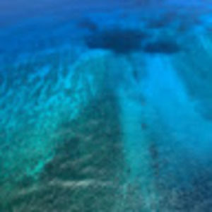 Meet your Posher, Jami